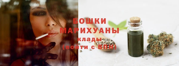 apvp Аркадак