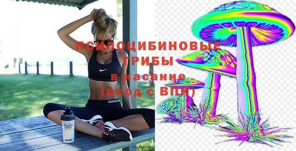 прущий лед Арсеньев