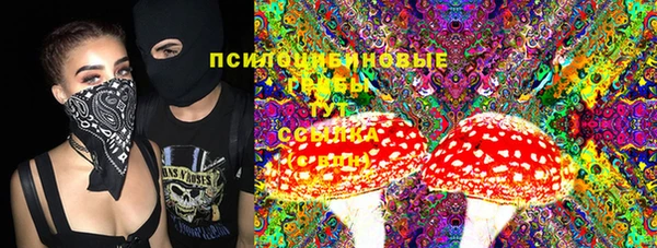 прущий лед Арсеньев
